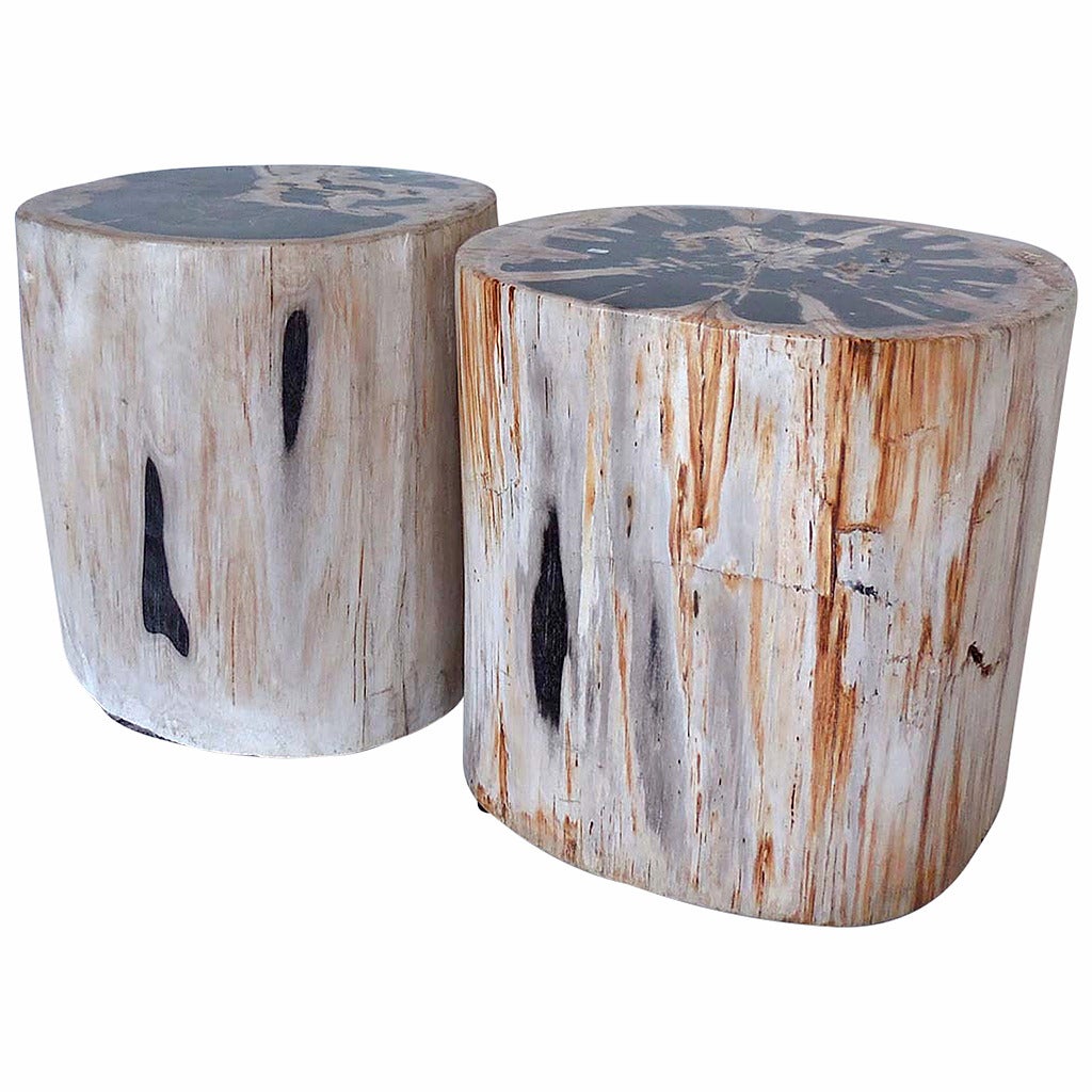 Petrified Wood Side Table or Stool one available at 1stdibs