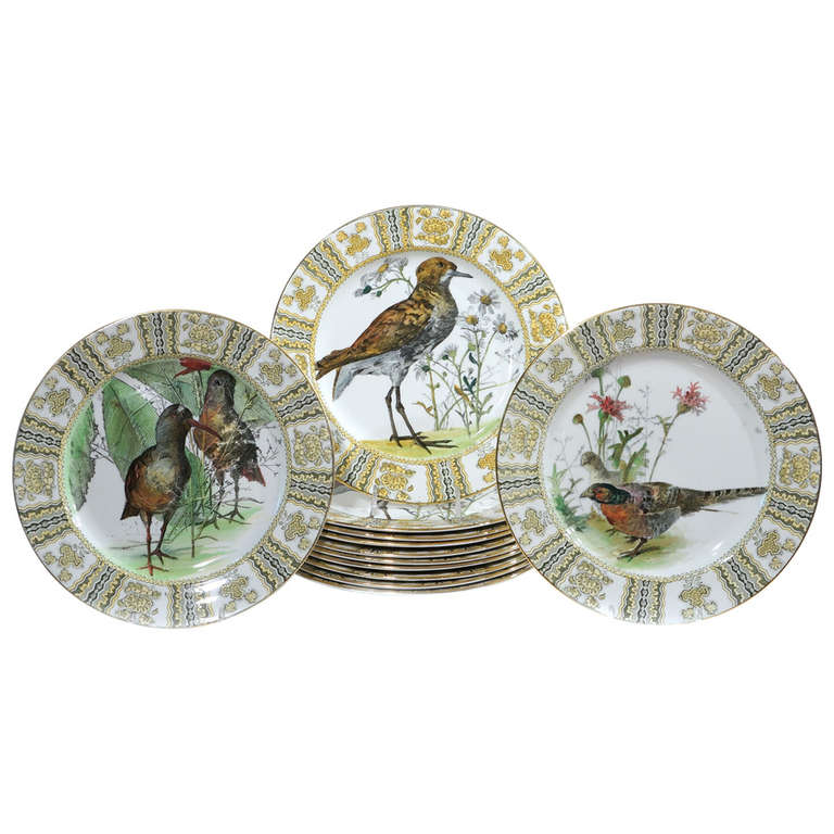 Twelve Royal Doulton dinner plates, 1905
